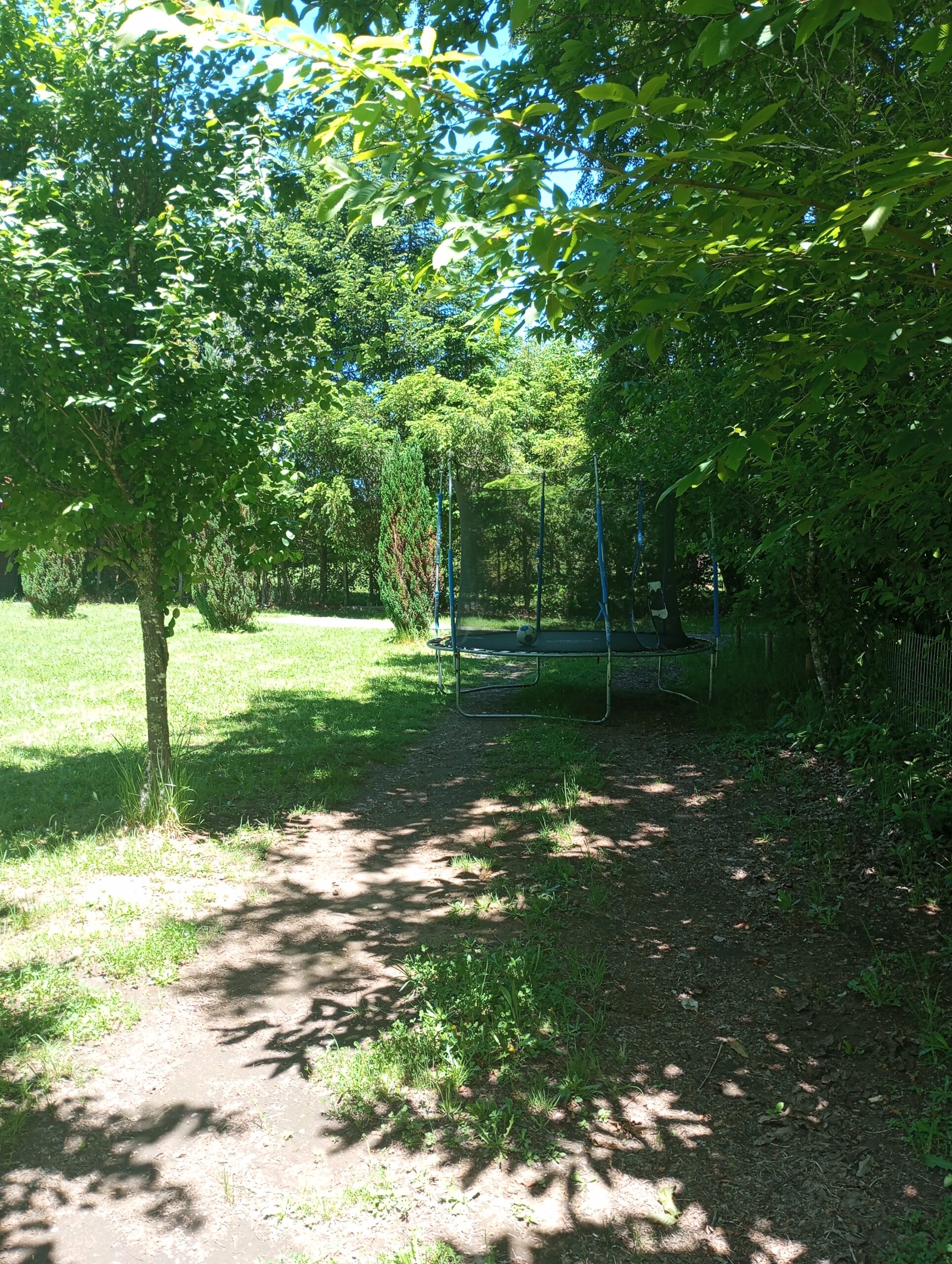 Privado: Privado: Privado: Arriendo casa parcela a 2000 mts ruta Villarrica a Pucón km12