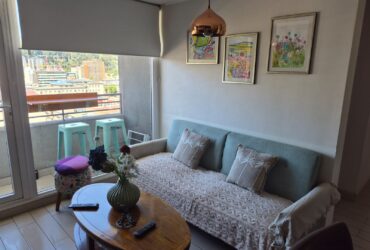 Maravilloso departamento Amoblado y Soleado de 2B 2D