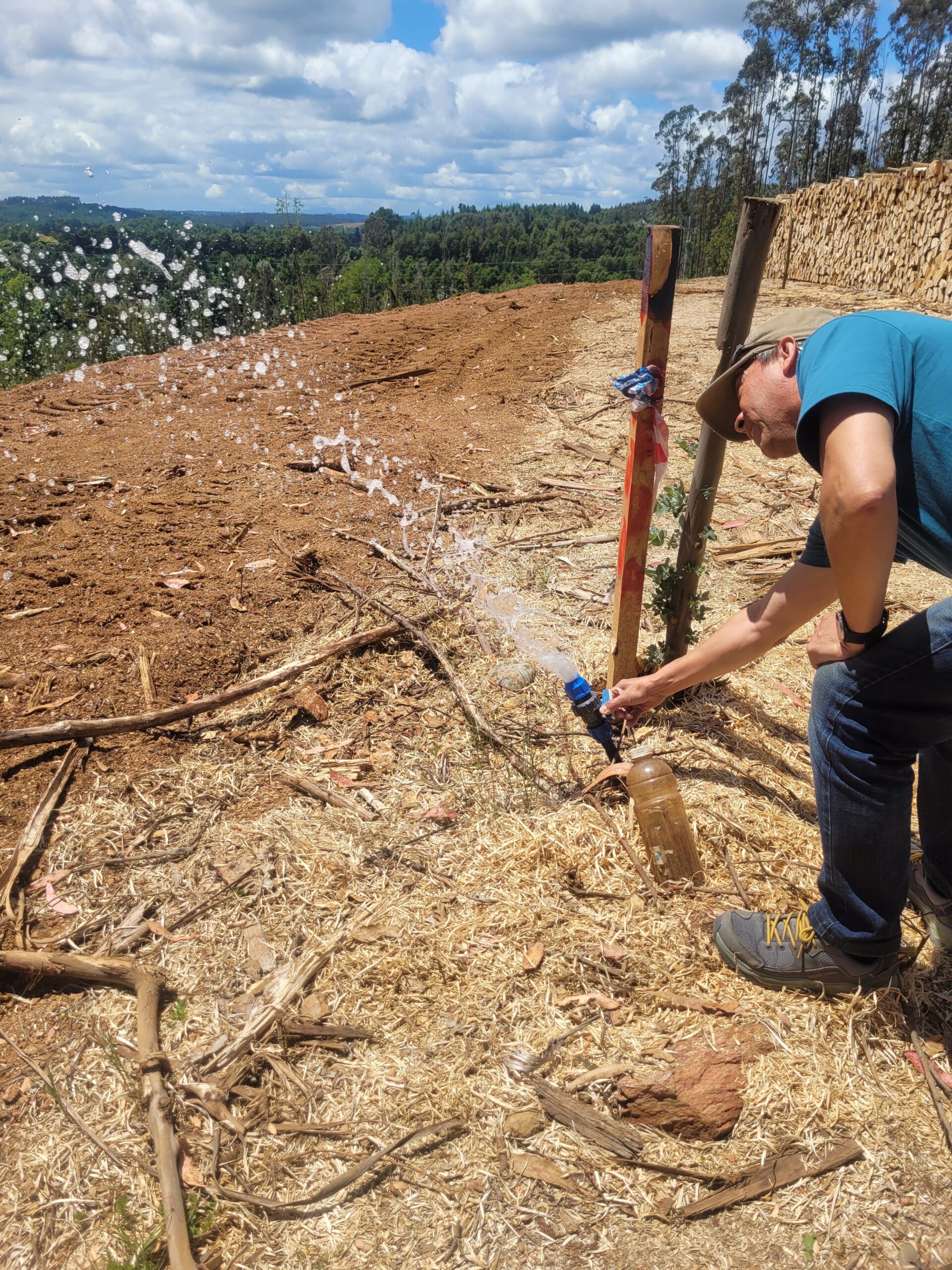 🌿 ¡Oportunidad en Terrazas Valdivianas! 2 Parcelas  – 5.000 m² c/u – $80.000.000