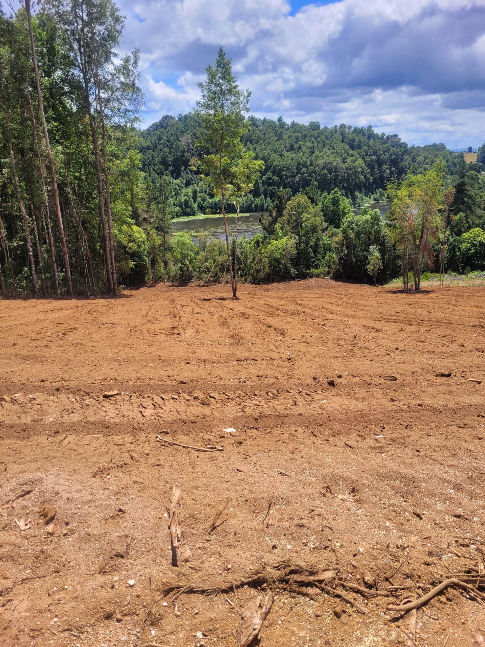 🌿 ¡Oportunidad en Terrazas Valdivianas! 2 Parcelas  – 5.000 m² c/u – $80.000.000