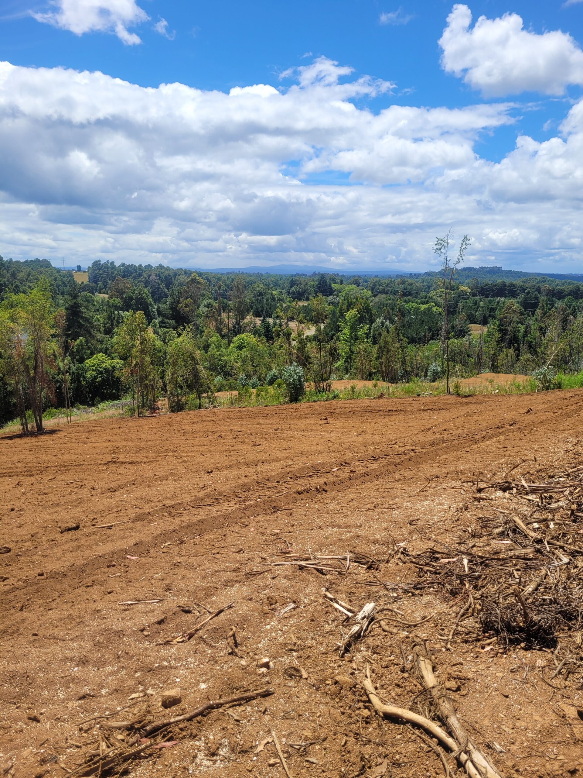 🌿 ¡Oportunidad en Terrazas Valdivianas! 2 Parcelas  – 5.000 m² c/u – $80.000.000