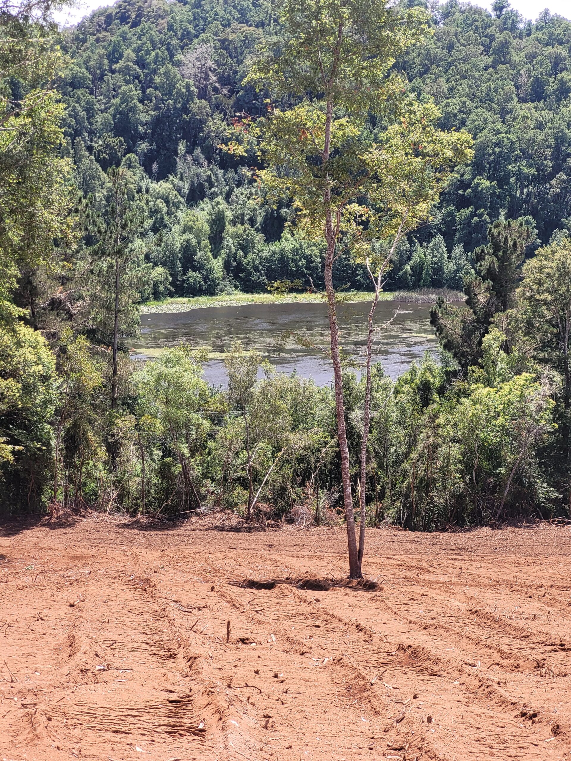 🌿 ¡Oportunidad en Terrazas Valdivianas! 2 Parcelas  – 5.000 m² c/u – $80.000.000