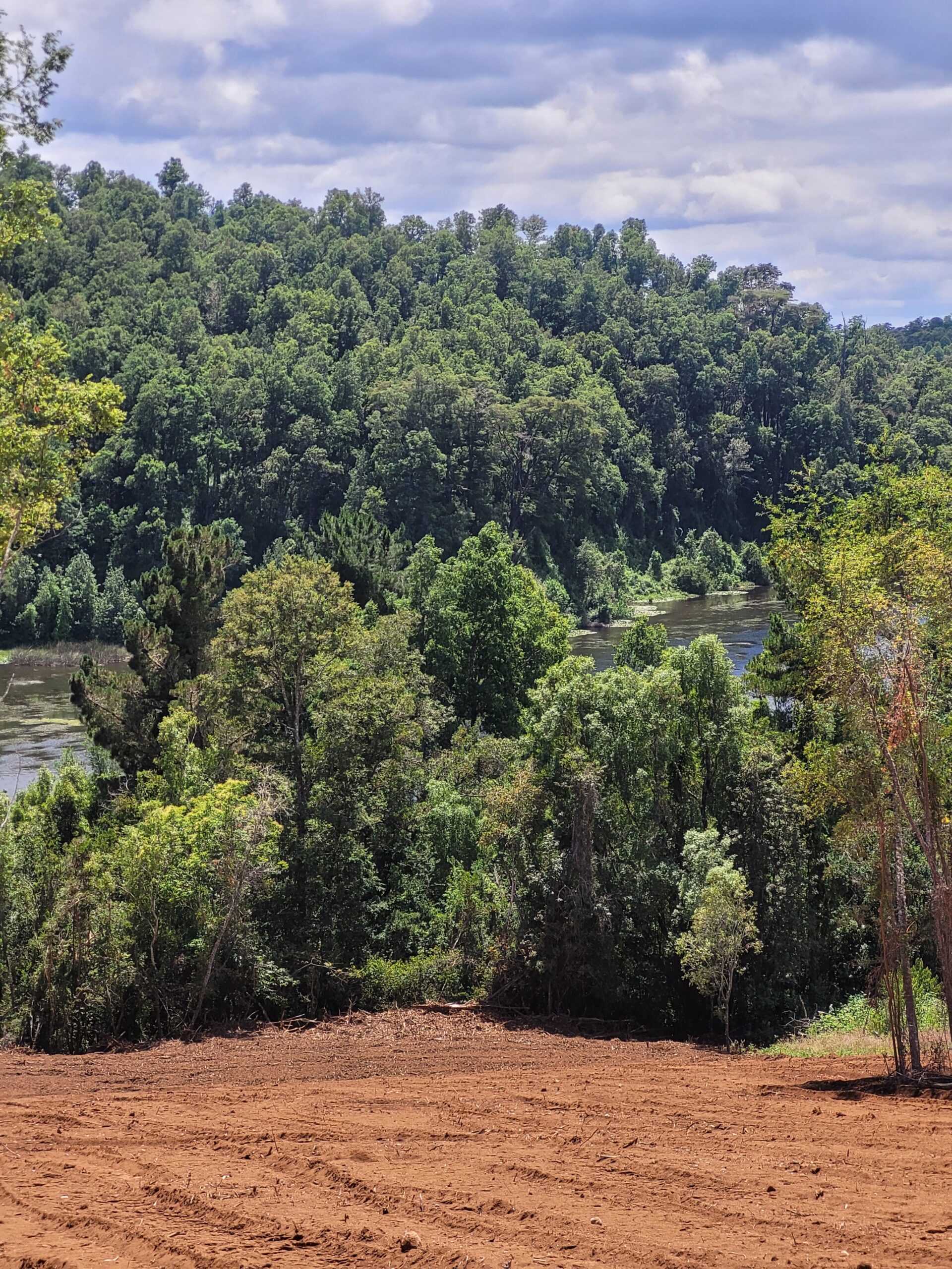 🌿 ¡Oportunidad en Terrazas Valdivianas! 2 Parcelas  – 5.000 m² c/u – $80.000.000