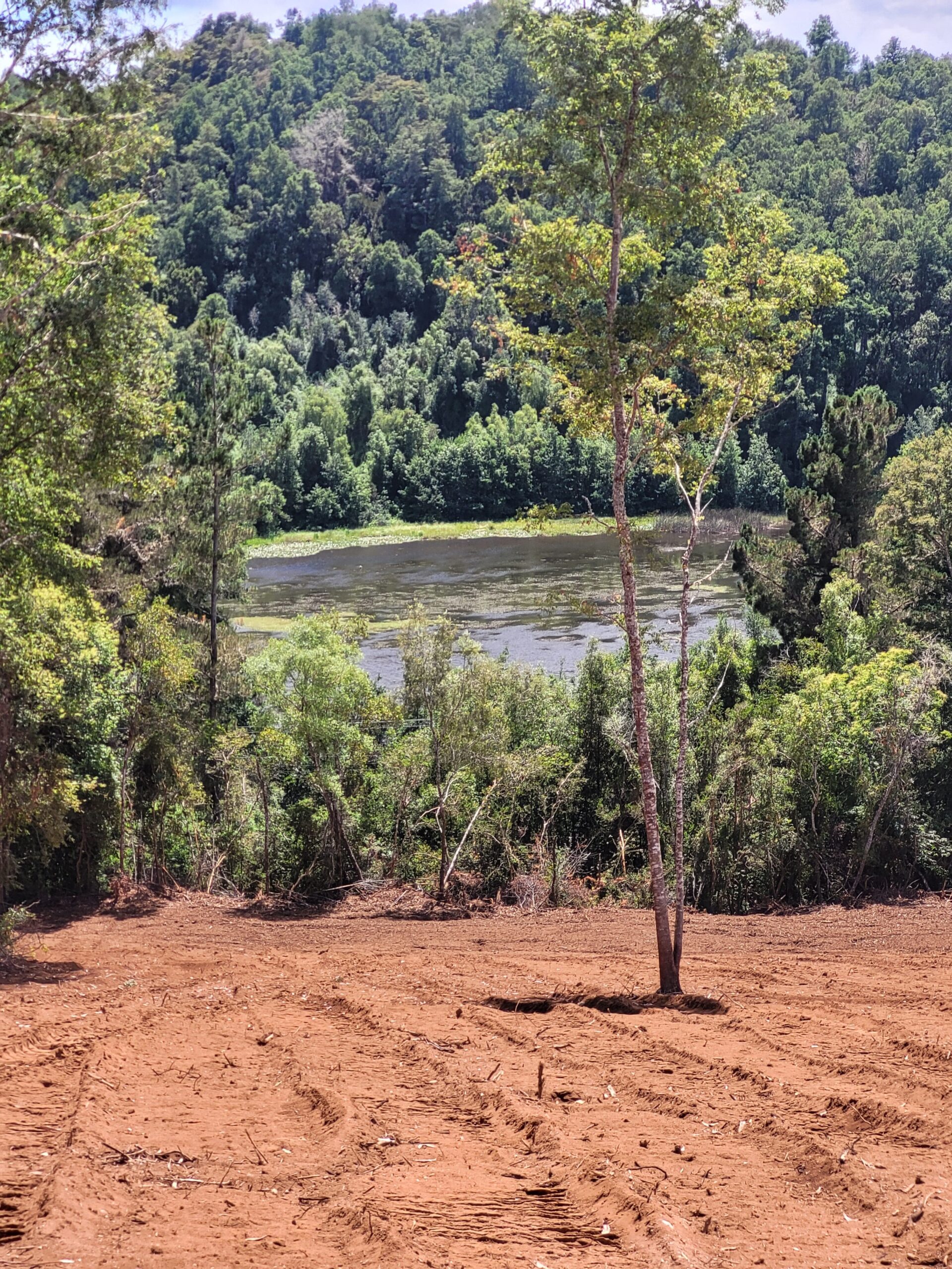 🌿 ¡Oportunidad en Terrazas Valdivianas! 2 Parcelas  – 5.000 m² c/u – $80.000.000