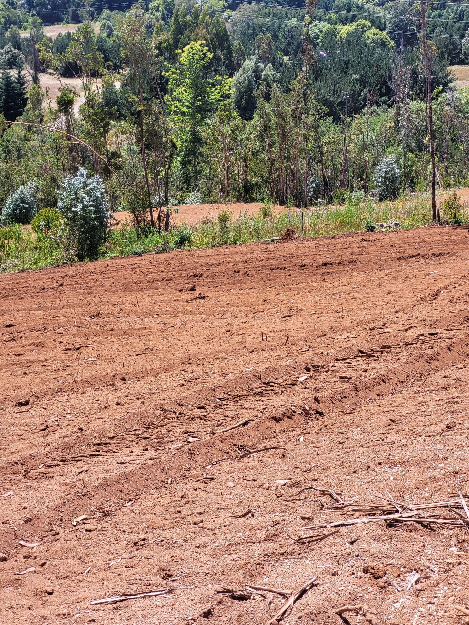 🌿 ¡Oportunidad en Terrazas Valdivianas! 2 Parcelas  – 5.000 m² c/u – $80.000.000